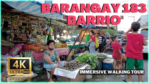 barangay 183 postal code|Barangay 183 (Pasay City, Philippines) .